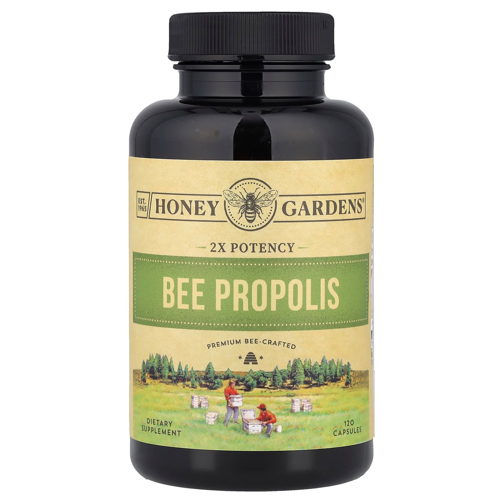 Zand Bee Propolis – 120 gélules de Zand