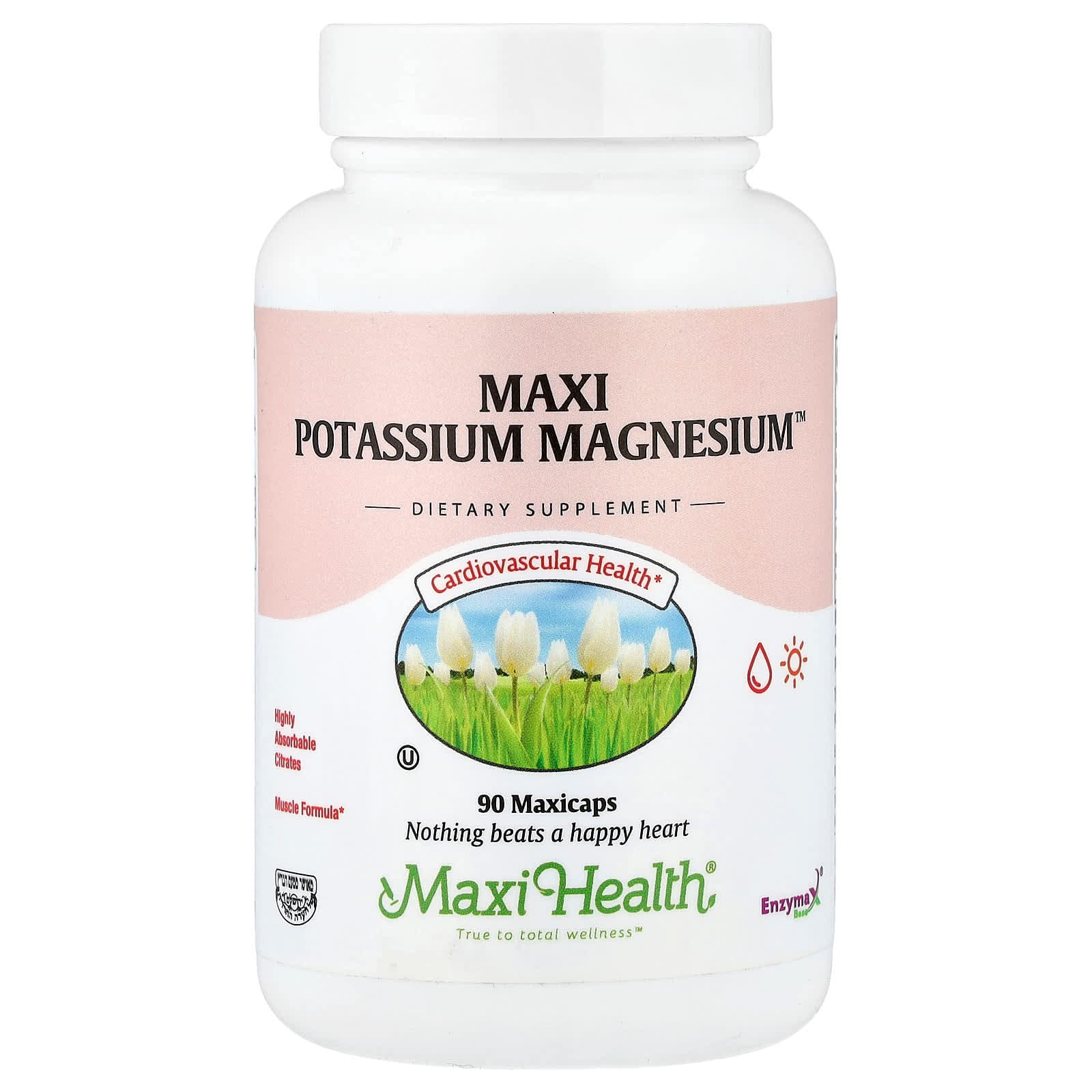 Maxi Health Maxi Potassium Magnesium, 90 Maxicaps de Maxi Health