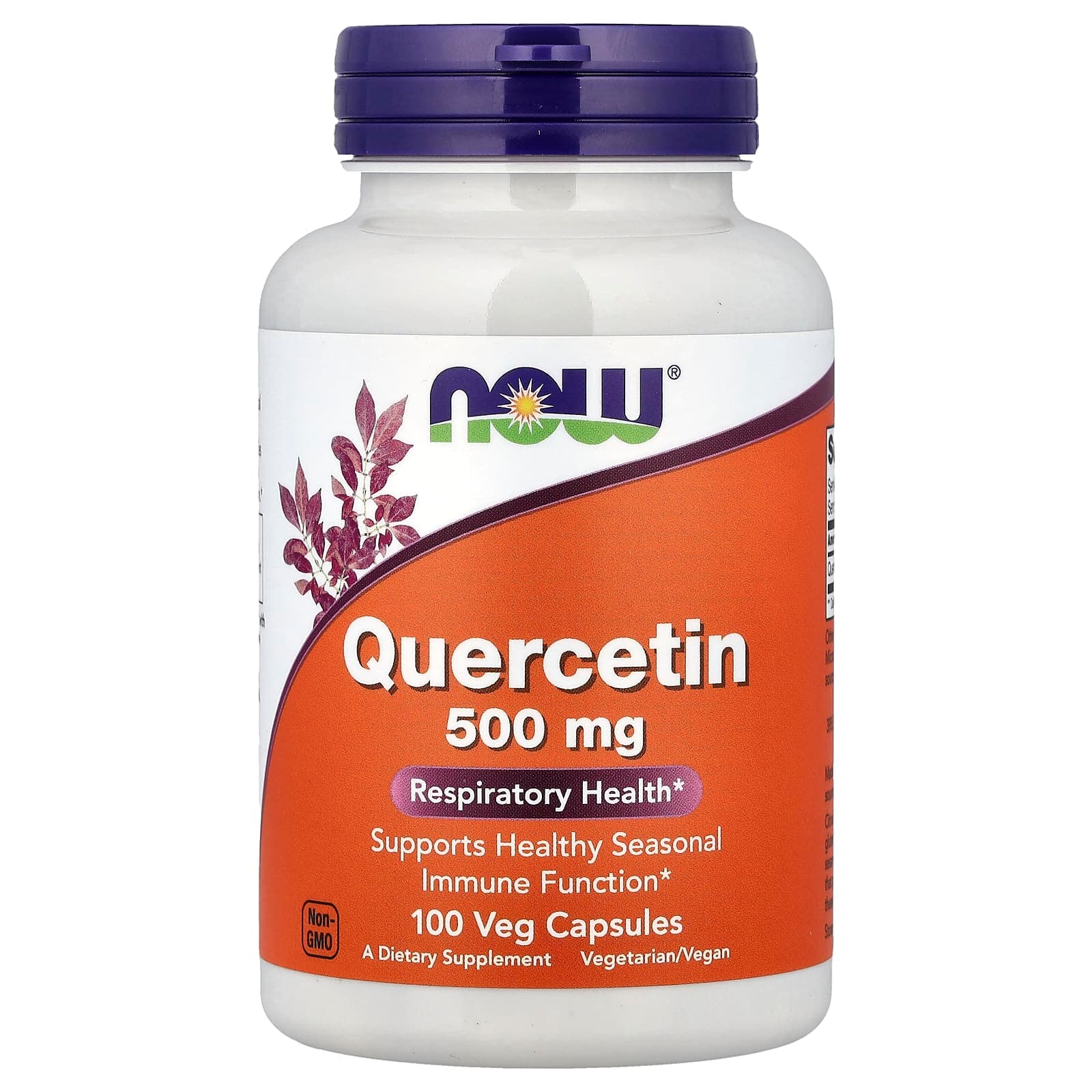 NOW Foods Quercetin – 100 gélules végétales de NOW Foods