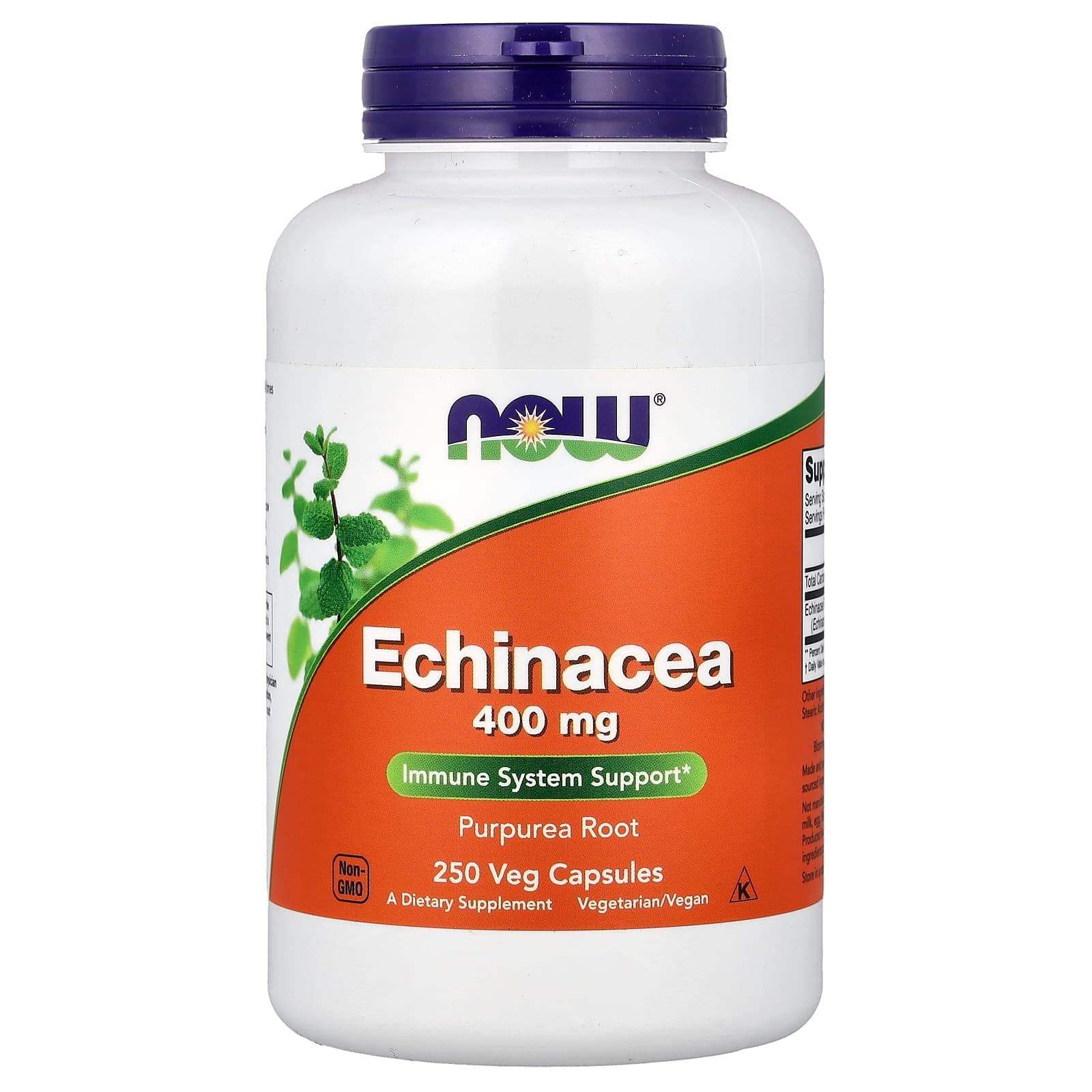 NOW Foods Echinacea – 250 gélules végétales de NOW Foods