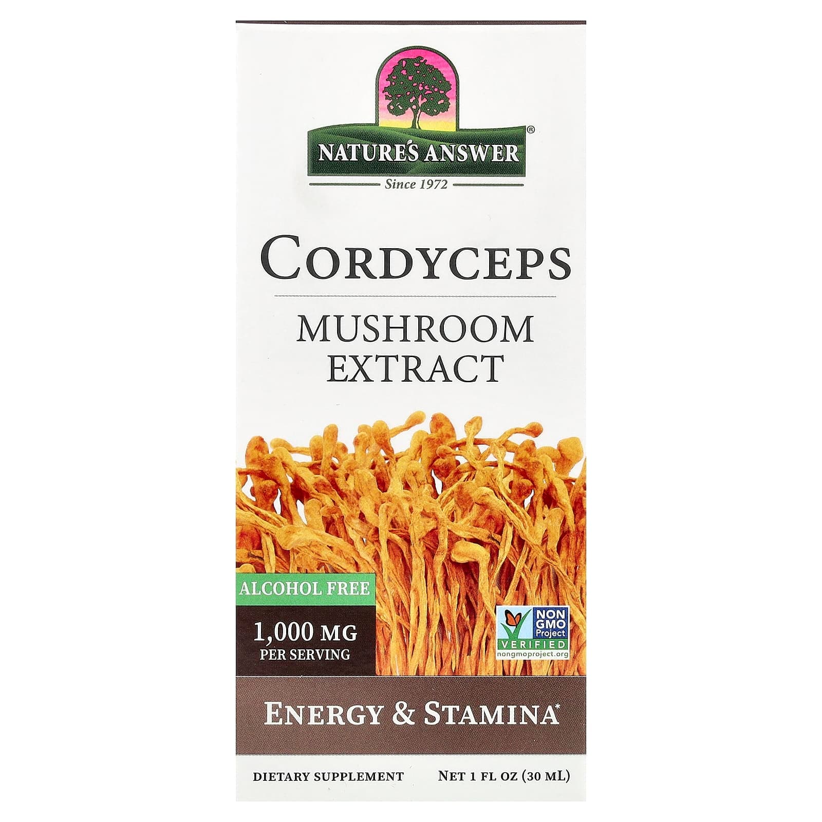 Nature's Answer Cordyceps, Mushroom Extract, Alcohol Free – 30 ml de Nature's Answer