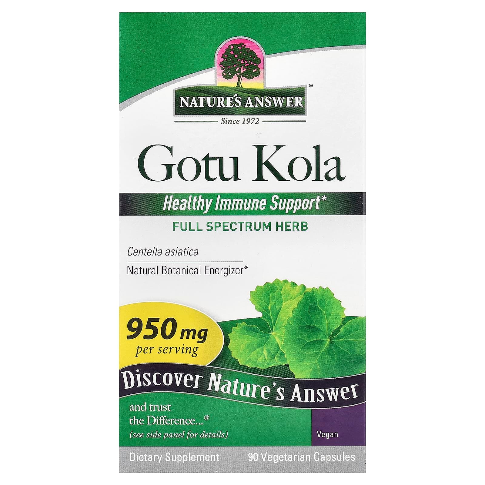 Nature's Answer Gotu Kola – 90 gélules végétales de Nature's Answer
