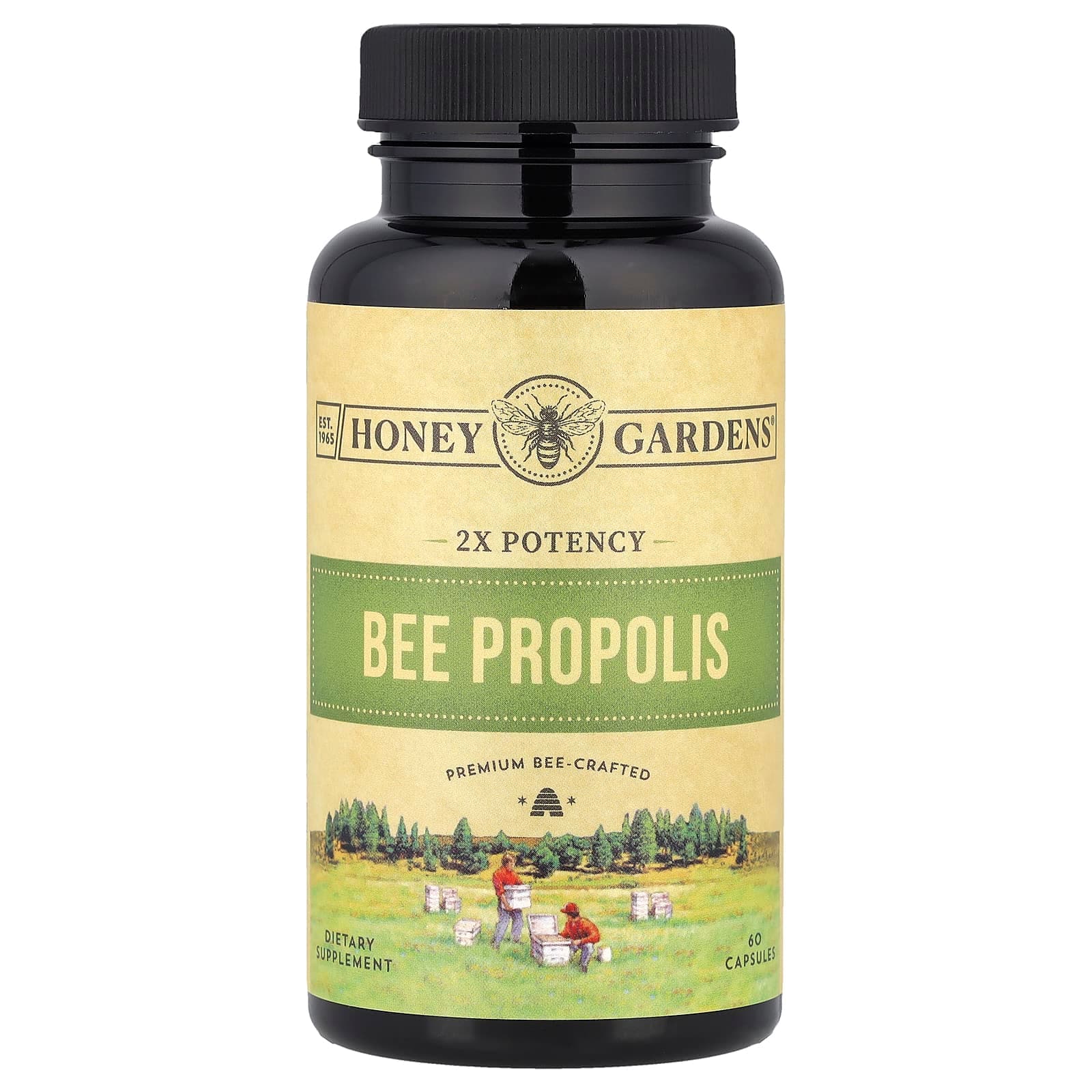 Zand Bee Propolis – 60 gélules de Zand