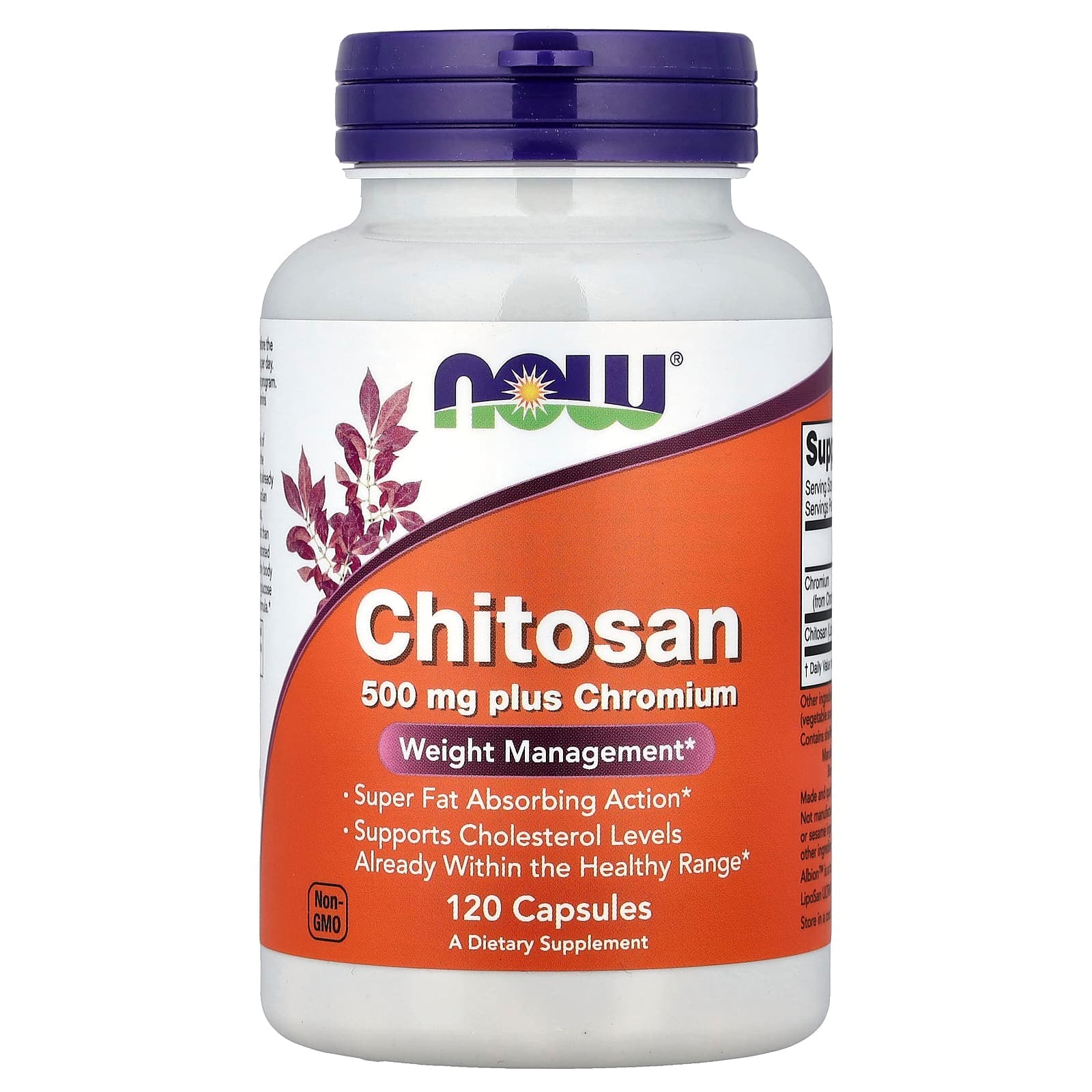 NOW Foods Chitosan plus Chromium – 120 gélules de NOW Foods